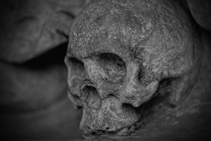 Warga Empat Lawang Temukan Tulang Manusia di Sumur Tua