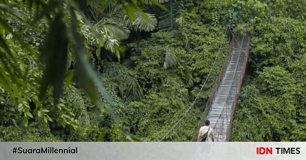 Daftar Jembatan Instagramable Di Bogor Eksotis Abis