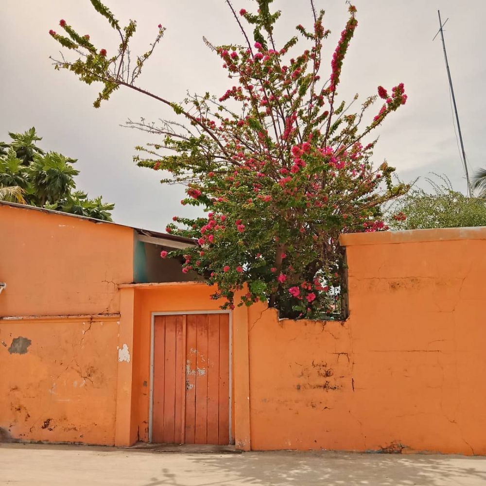 Hasil gambar untuk Wall hunting, berfoto dengan rumah penduduk Maldives