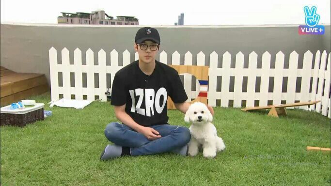 9 Potret Sehun Exo Dan Anjing Peliharaannya Bikin Fans Iri Dan Gemas
