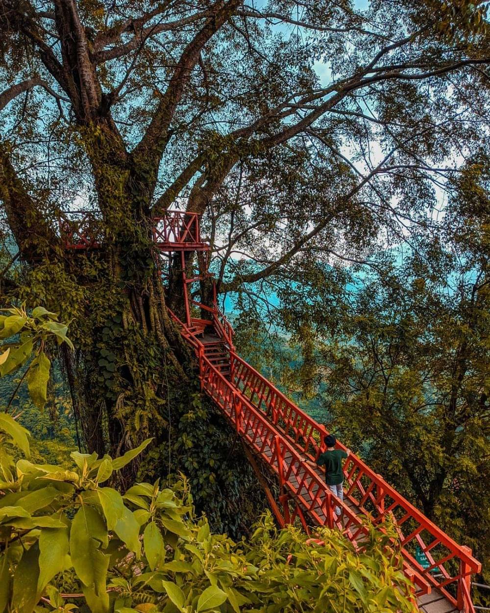 6 Wisata Jembatan Cantik Di Bogor, Instagramable Abis!