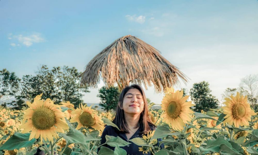 Bikin Gak Mau Pulang 9 Potret Cantiknya Jiwans Garden Di