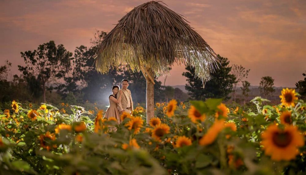 Bikin Gak Mau Pulang 9 Potret Cantiknya Jiwans Garden Di