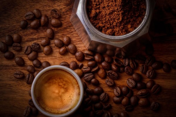 Beredar di Bali, Apakah Kopi Jantan dan Beruang Berbahaya?