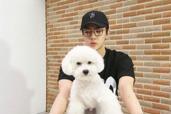 9 Potret Sehun Exo Dan Anjing Peliharaannya Bikin Fans Iri Dan Gemas