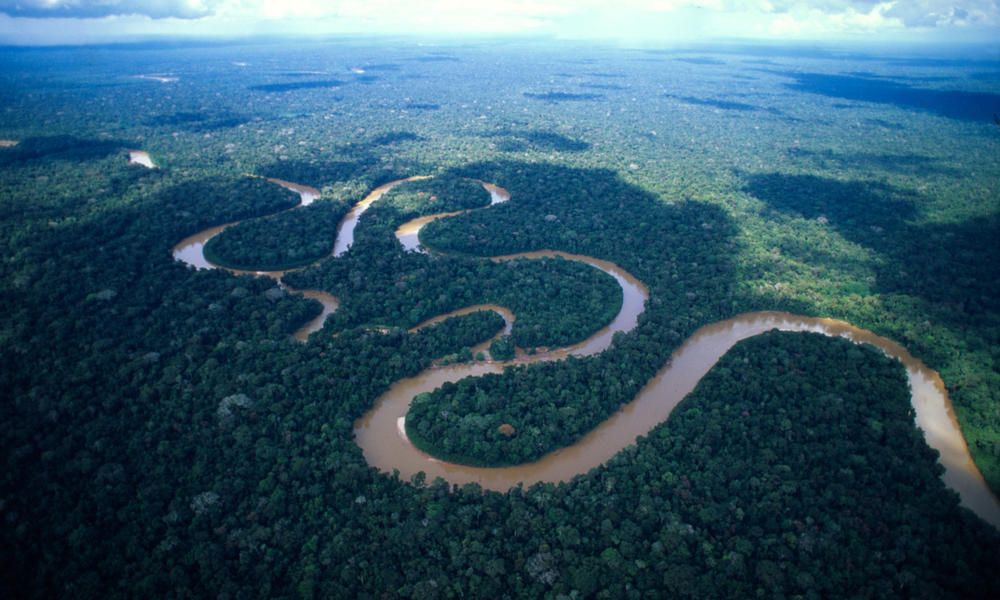 6 Fakta Unik Sungai Amazon, yang Terpanjang di Benua Amerika
