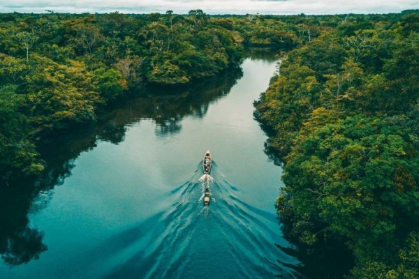 Apa Yang Kamu Ketahui Tentang Sungai Amazon - Berkas Sekolah