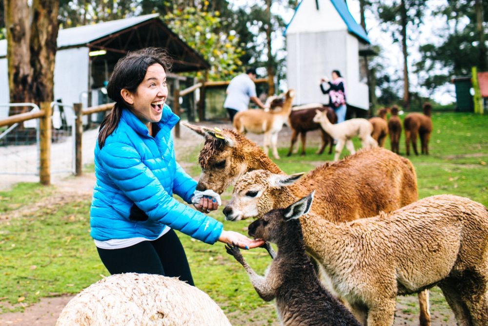 6 Wisata Asyik di Denmark, Australia Barat Ini Bikin Betah Melancong