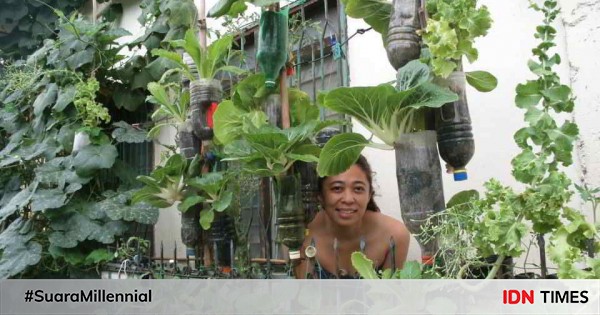 Rumah Sempit Tenang Ini 17 Ide Kreatif Buat Kebun Sayur Di Halaman