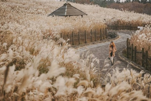 10 Wisata Bernuansa Alam ala KDrama, Cantik dan Bikin Sejuk di Hati!