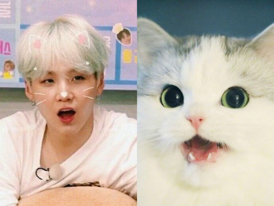 Little meow тг. Yoongi Lil Meow Meow. Suga Lil Meow Meow. БТС баттер Lil Meow. My little Meow Meow Мем.