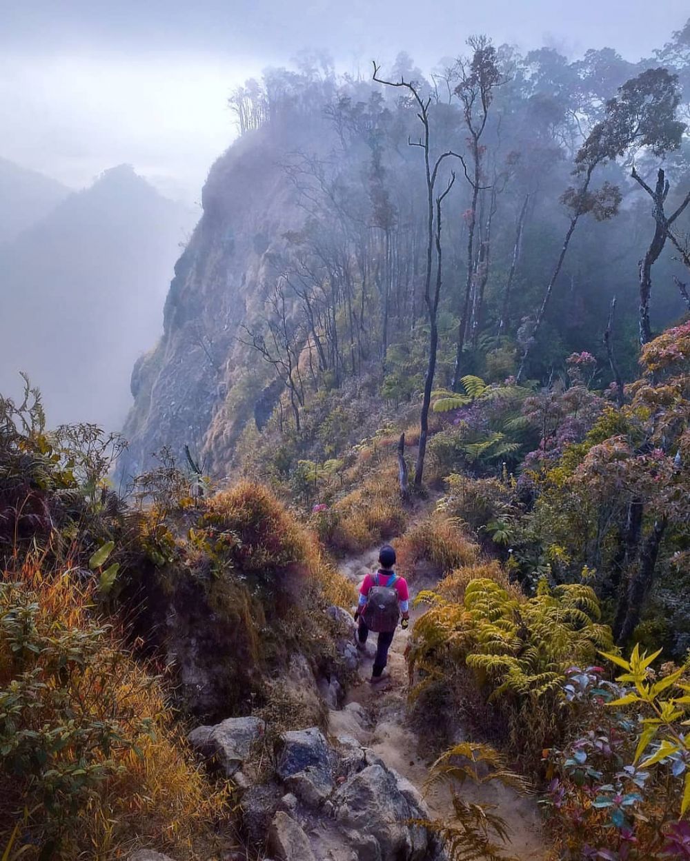 Surga Dunia, 12 Wisata Alam Bandung Barat yang Wajib