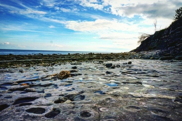 10 Tempat Wisata Sambil Belajar Lihat Fosil di Luar Negeri, Tertarik?