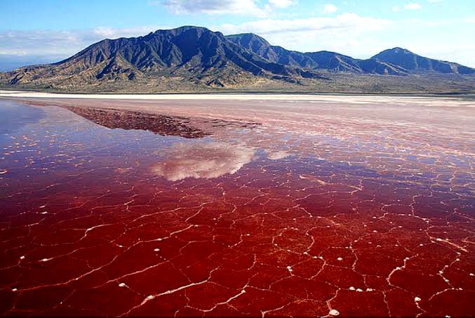 Terlihat Indah, Ini 8 Danau Paling Mematikan di Dunia