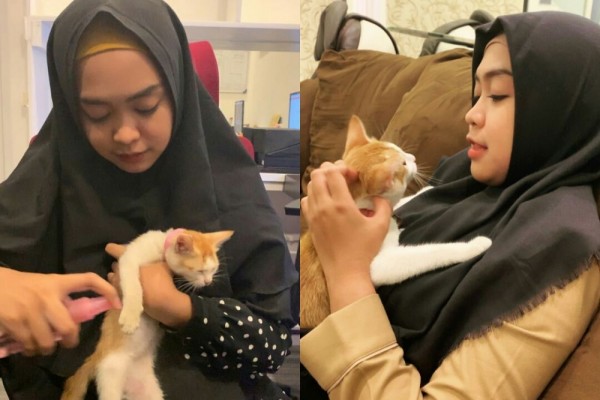 10 Momen Ria Ricis Rawat Kucing Yang Patah Kaki Bukti Pecinta Hewan