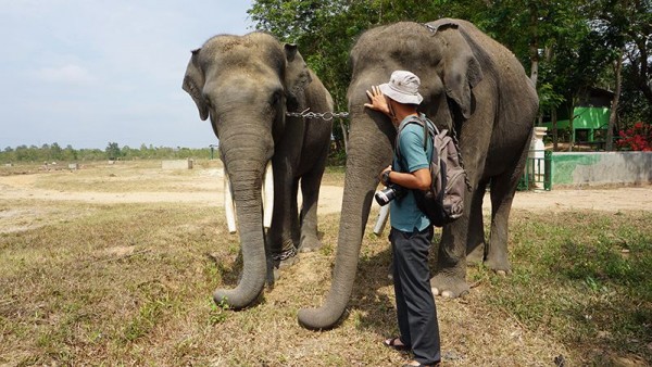 8 Sensasi Piknik ke Way Kambas, Tak Cuma Berfoto dengan Gajah Lucu