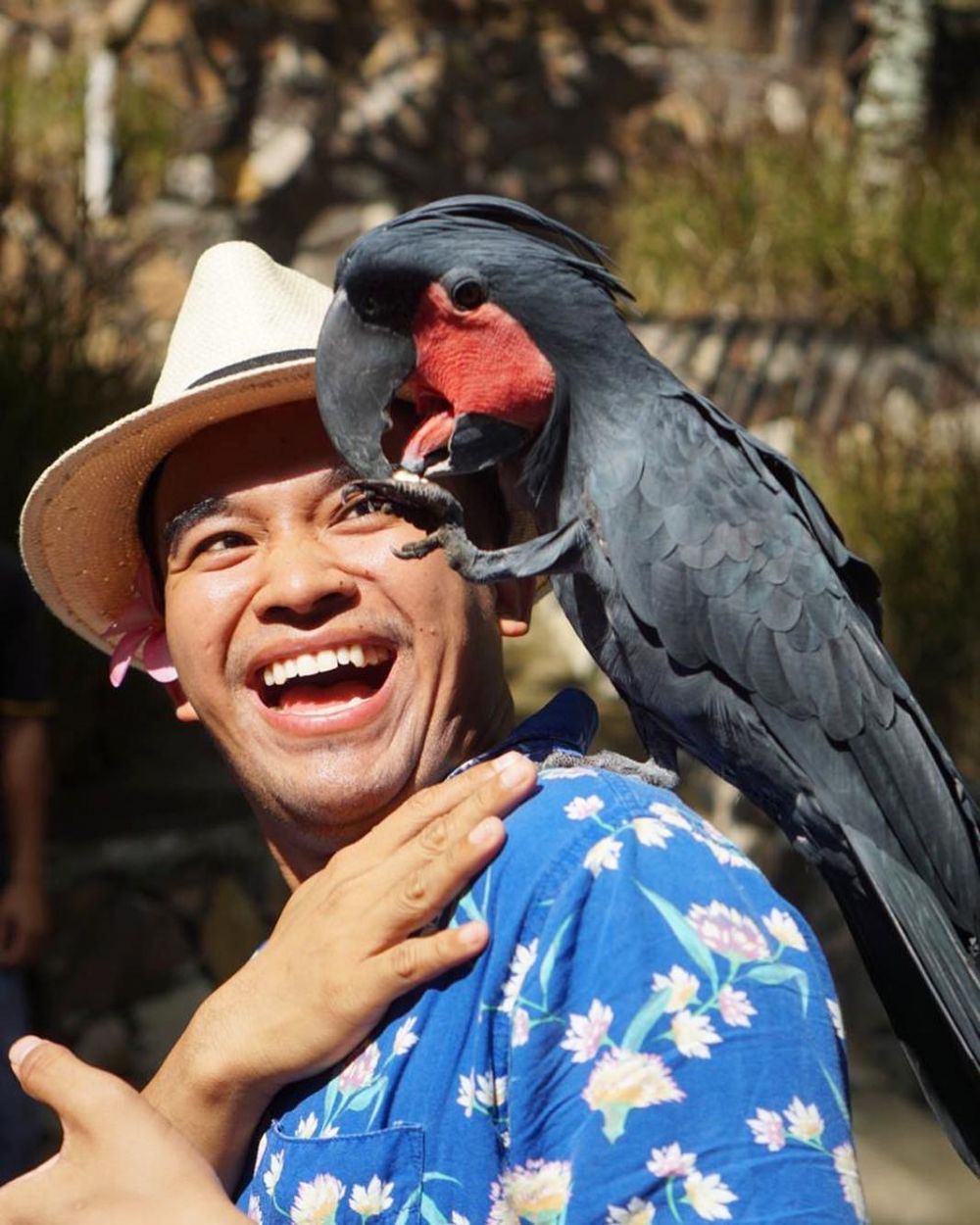 Tak Idap Ornithophobia, Ini 11 Potret Seru Seleb Pose Bareng Burung