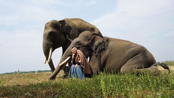 8 Sensasi Piknik ke Way Kambas, Tak Cuma Berfoto dengan Gajah Lucu