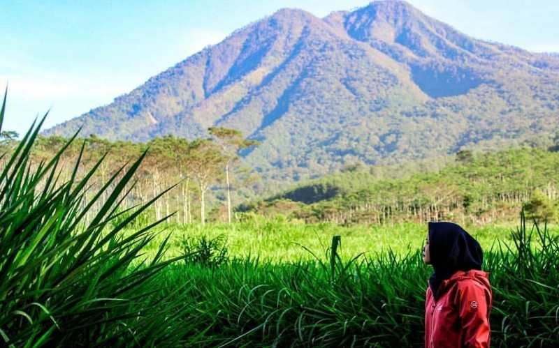 [UPDATE] Kondisi Karhutla Lima Gunung di Jawa Timur