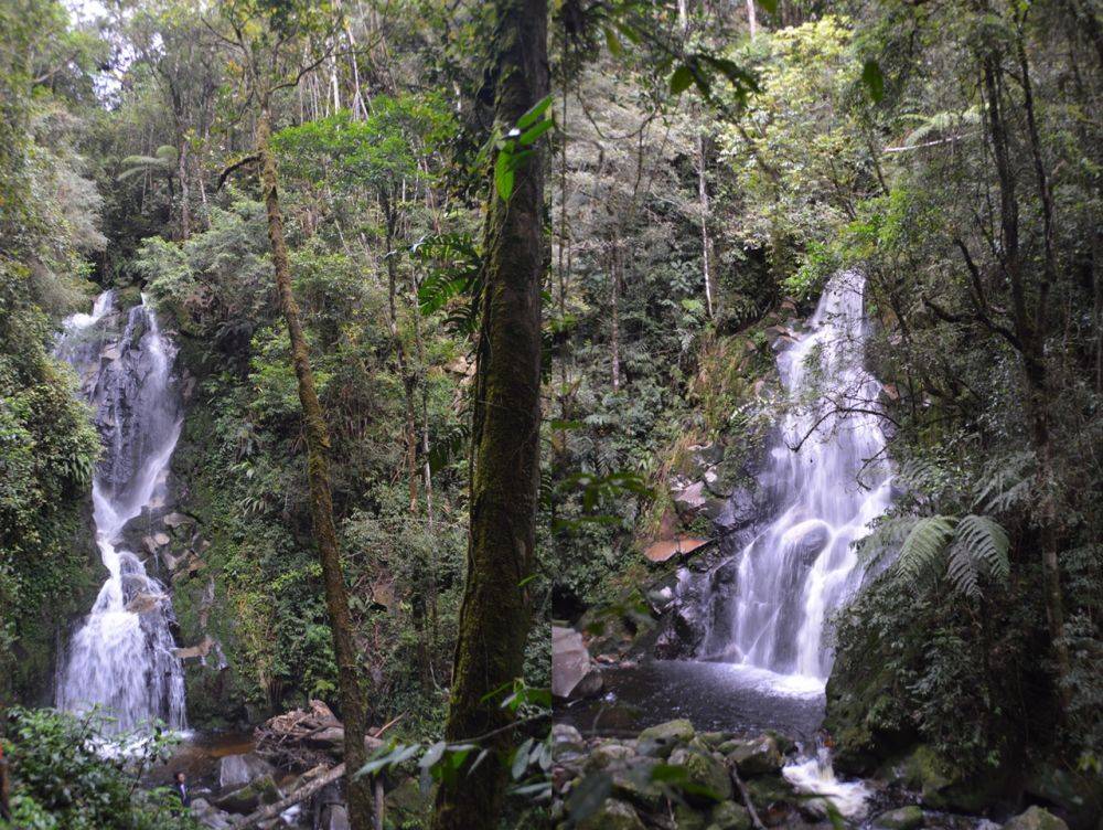 Staycation di Taman Simalem Resort, Toba? Pantang Lewatkan 5 Spot Ini