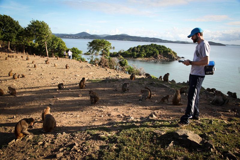 5 Fakta Monkey Island, Rumah Bagi Ribuan Monyet di Puerto Rico