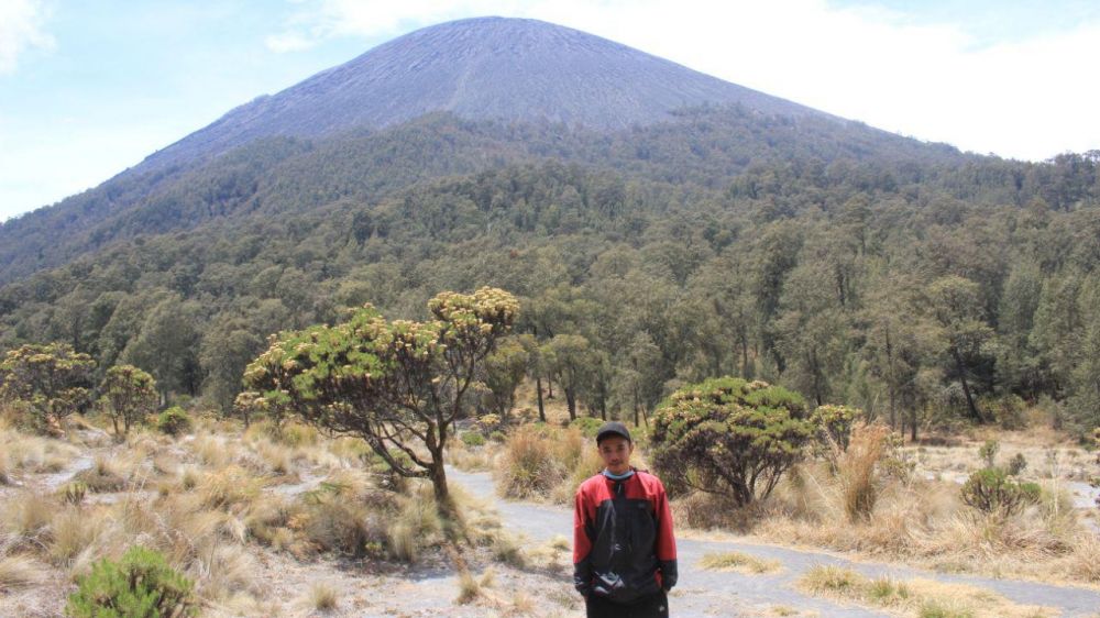 TNBTS Belum Bisa Pastikan Kapan Pendakian Semeru Kembali Dibuka 