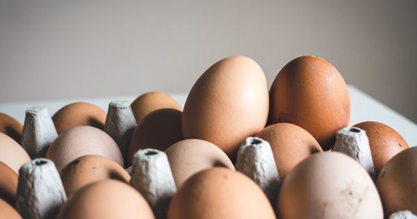 Disnak Jatim Ajak Tujuh Sentra Ayam Gelar Gerakan Makan Telur Bareng