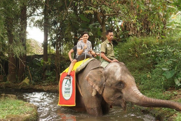 9 Potret Selebriti Berpose Bareng Gajah, Seru!