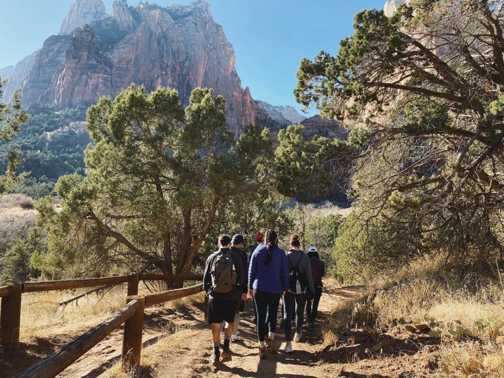 Zion 3. Bitcoin gambling sites Zion National Park.