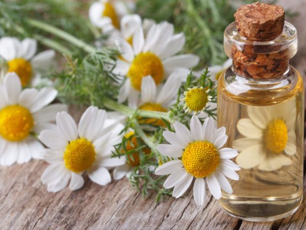 6 Jenis Essential Oil Ini Ampuh Atasi Insomnia