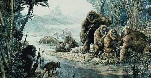 Fakta Menarik Gigantopithecus, Primata Raksasa Kerabat Dekat Orangutan