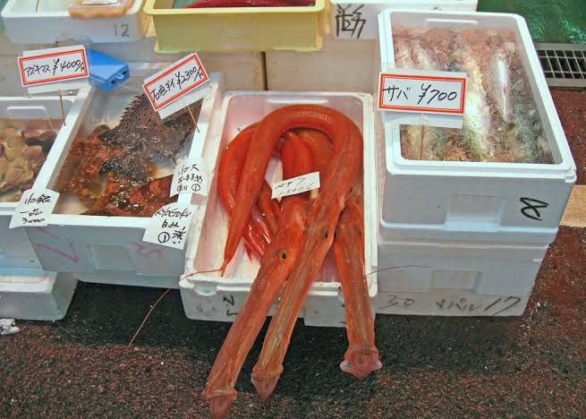 5 Jenis Ikan Aneh yang Jadi Menu Sashimi Favorit di Jepang