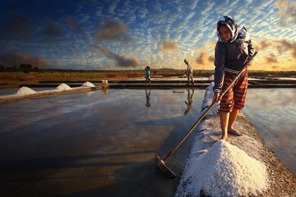 DKP Jateng Bangun Tiga Rumah Garam, Pacu Produksi Usaha Milik Rakyat