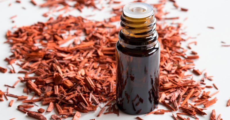 6 Jenis Essential Oil Ini Ampuh Atasi Insomnia