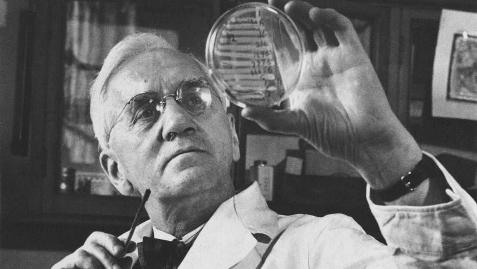 Alexander Fleming: Penemu Penisilin Sebagai Antibiotik Modern