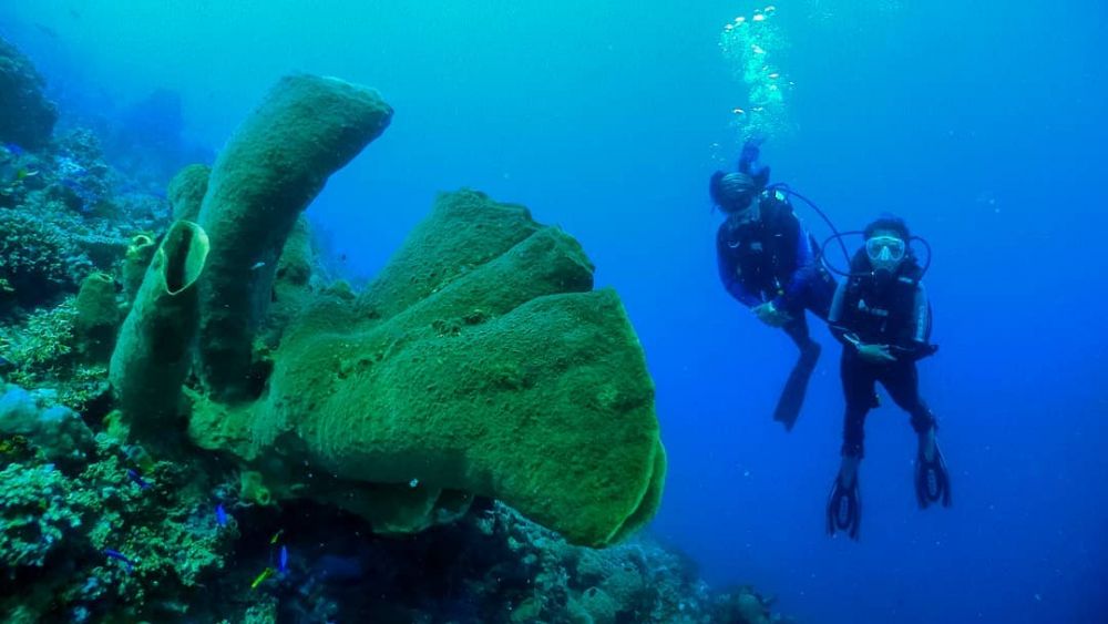 6 Rekomendasi Spot Diving ala Satya Winnie, Travel Blogger Indonesia