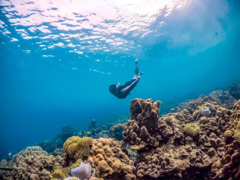 6 Rekomendasi Spot Diving ala Satya Winnie, Travel Blogger Indonesia