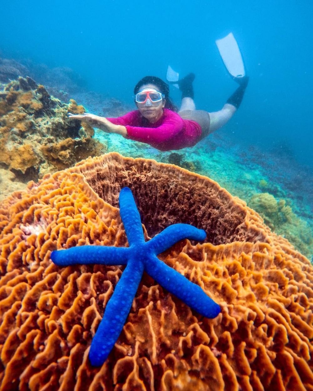 6 Rekomendasi Spot Diving ala Satya Winnie, Travel Blogger Indonesia