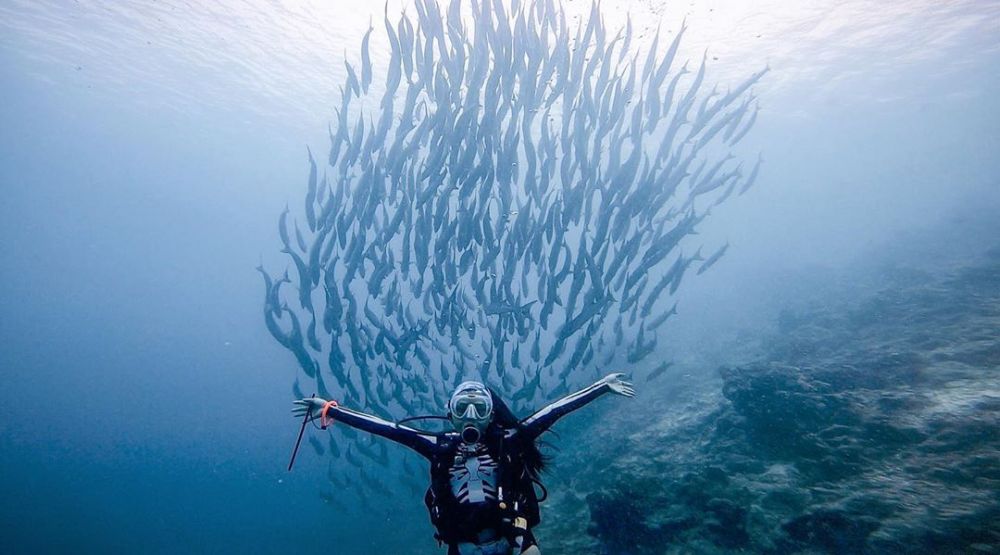 6 Rekomendasi Spot Diving ala Satya Winnie, Travel Blogger Indonesia