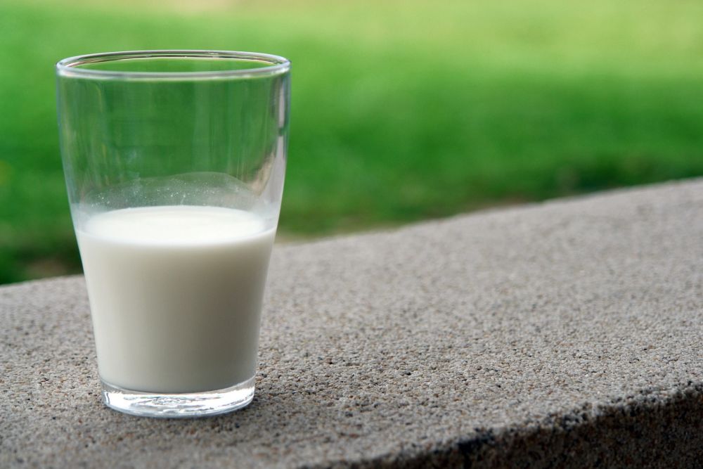 Studi: Susu Rendah Lemak Bikin Orang Awet Muda