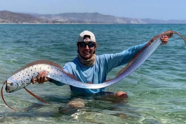 5 Fakta Oarfish, Ikan yang Diduga Jadi Tanda Bencana