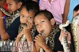 Jangan Panik! Begini Tips Hadapi Teror Ular Kobra di Jawa Barat