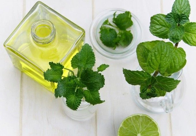 5 Aromaterapi yang Paling Populer dan Bermanfaat untuk Kesehatan