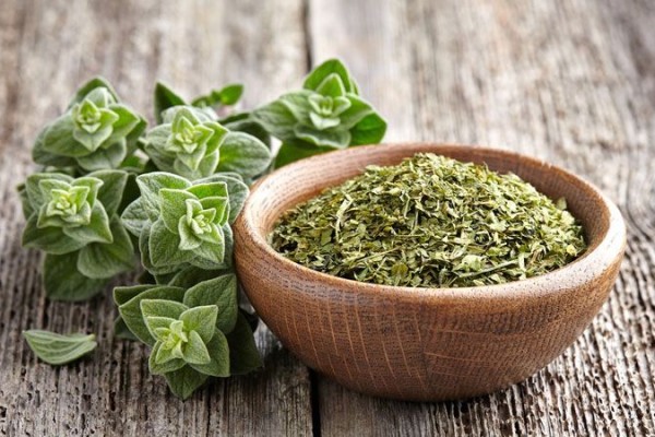 5 Fakta Oregano, Tanaman yang Jadi Bumbu Wajib Masakan Mediterania