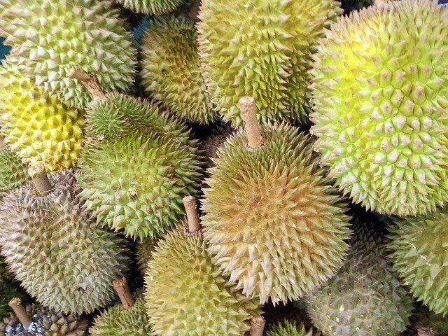 Musim Panen, Ratusan Petani Jateng Pasok Durian Monti Hingga ke Jabar