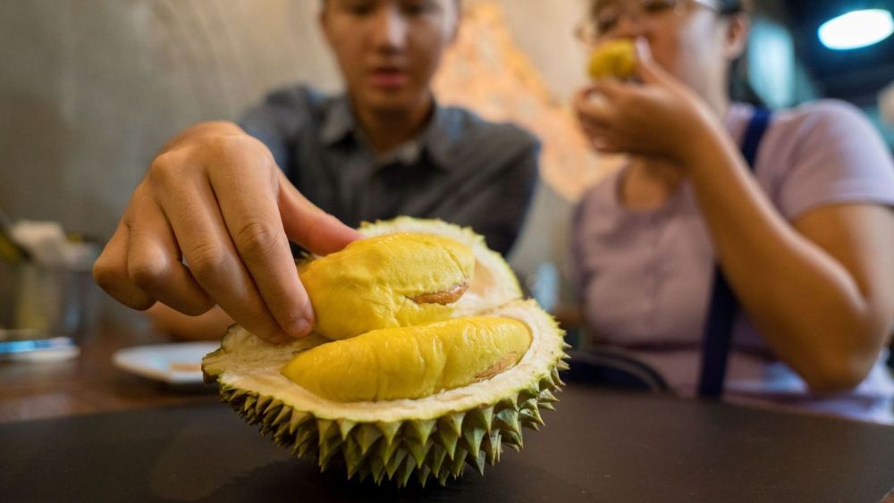 Mengenal Durian Kunyit, Si Manis Legit Khas Pupuan Tabanan Tapi Langka