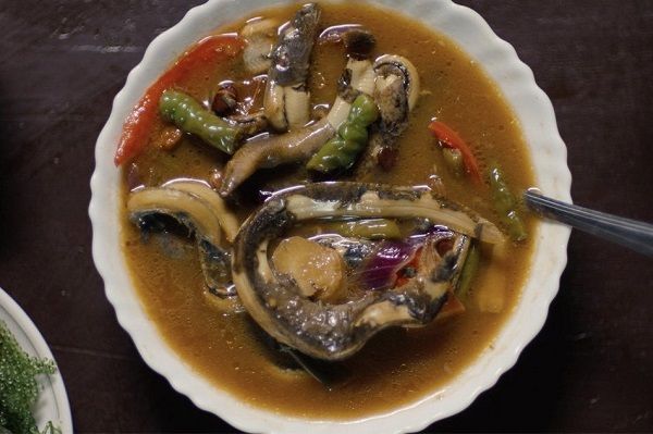 6 Cara Membersihkan Belut untuk Masakan Bebas Amis, Alot, dan Pahit