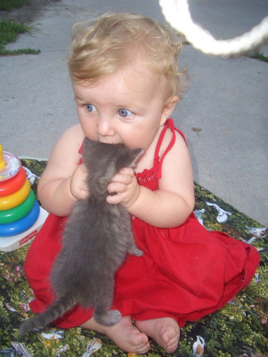 9 Foto Kocak Bayi dan Kucing Makan Bareng, Bikin si Ibu Syok Berat!