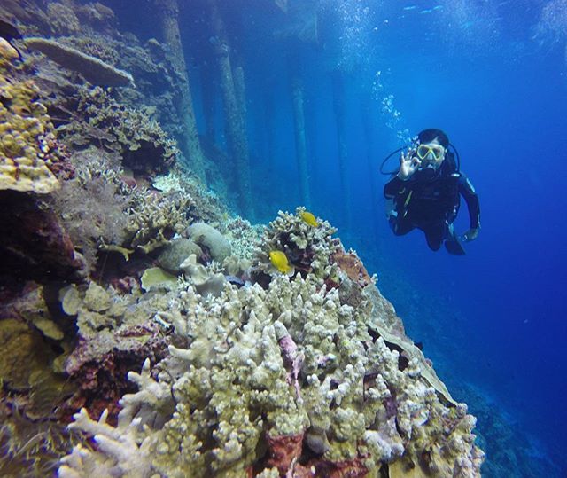 5 Spot Snorkeling di Wakatobi yang Sajikan Panorama Cantik Bawah Air