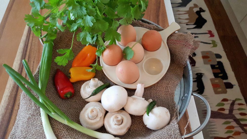 Sedapnya Nagih, Resep dan Cara Membuat Telur Dadar Padang ala Yummy!
